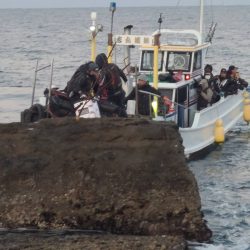 和歌山市江(吉丸渡船)でグレ釣り