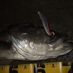 久々にベイトで