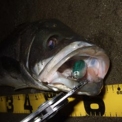 流れの効いたタイミングで