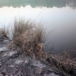 シロヒレタビラリベンジ釣行