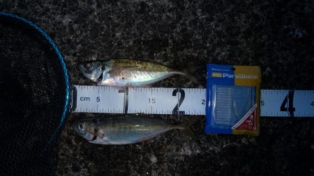 少し足お伸ばして日高まで！