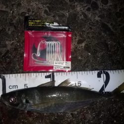 久し振りの早仕舞い