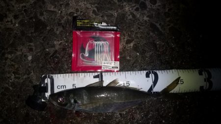 久し振りの早仕舞い