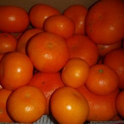 場所開拓のはずが？