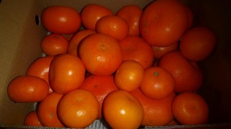 場所開拓のはずが？