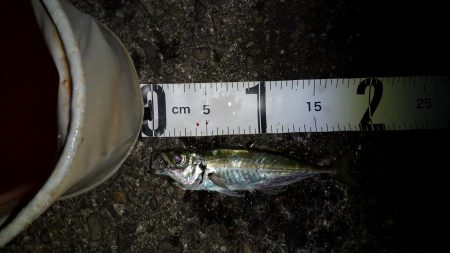 厳しくなって来たのかな〜?