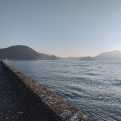 今日はダメな日