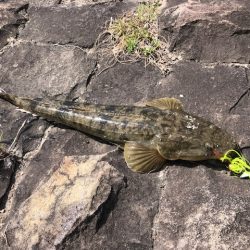 大潮ど干潮釣行