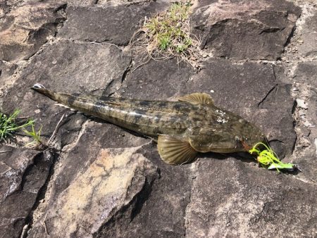 大潮ど干潮釣行
