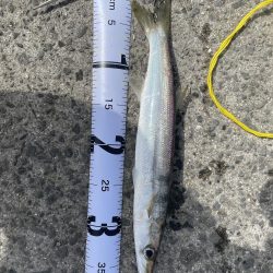 久しぶりの釣行