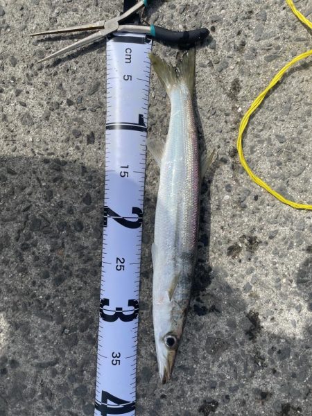 久しぶりの釣行