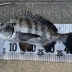 イチノ兄弟、釣果!