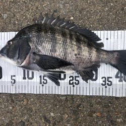 イチノ兄弟、釣果！