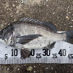 イチノ兄弟、釣果！