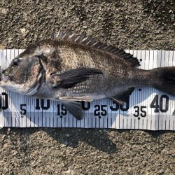 イチノ兄弟、釣果!