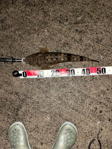 ひさびさの夜釣り