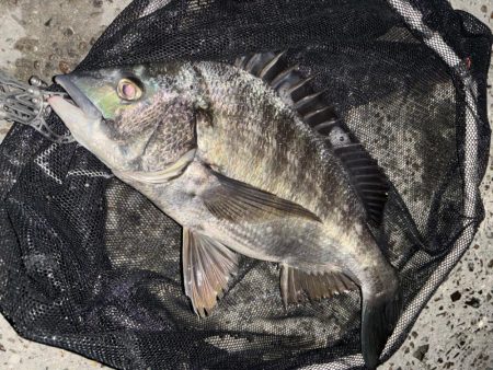 ヘチってきました