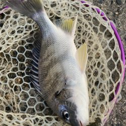 夕方2時間チニング！