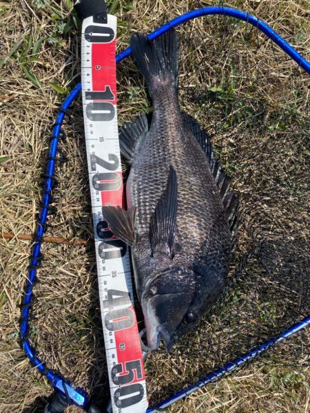 ポイント選び失敗