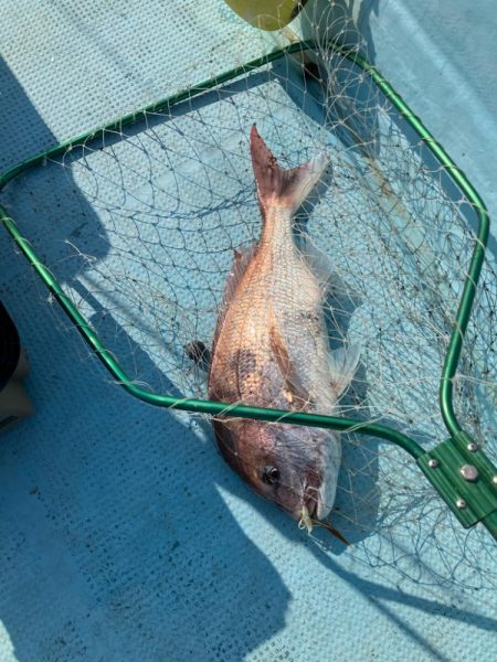 ダイソージグで根魚
