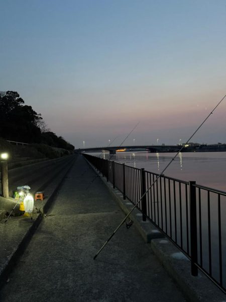 花見ガレイを狙いに