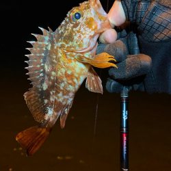 めちゃ久々の釣行