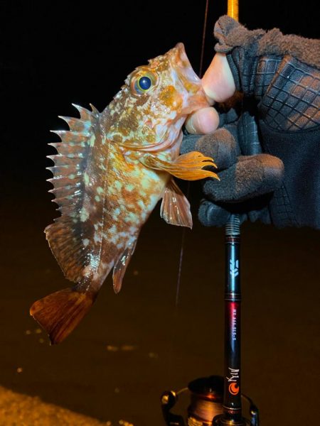 めちゃ久々の釣行