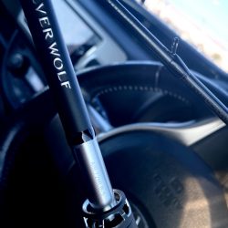 仕事帰り15分チニング！