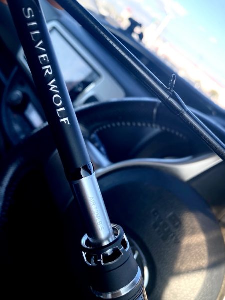 仕事帰り15分チニング！