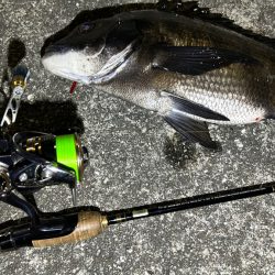 久しぶりの釣果