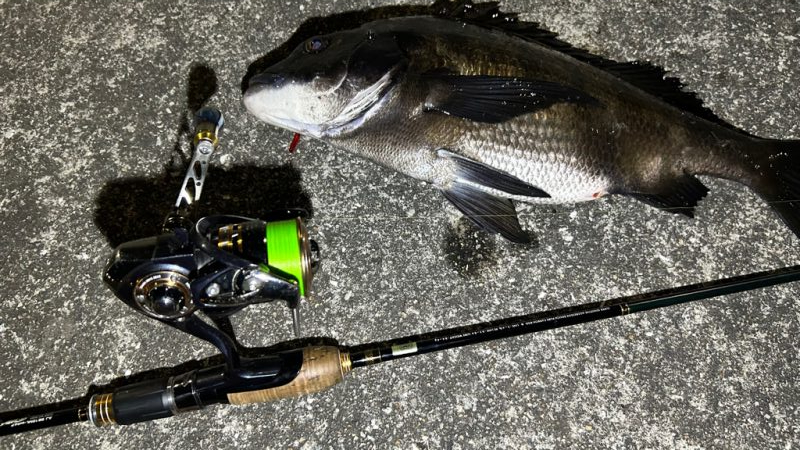 久しぶりの釣果