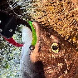 寒すぎました…