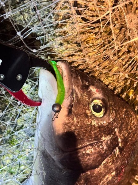 寒すぎました…