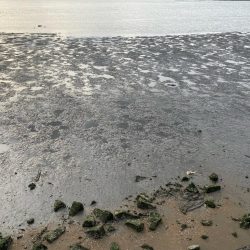 季節の変わり目激渋チニング!