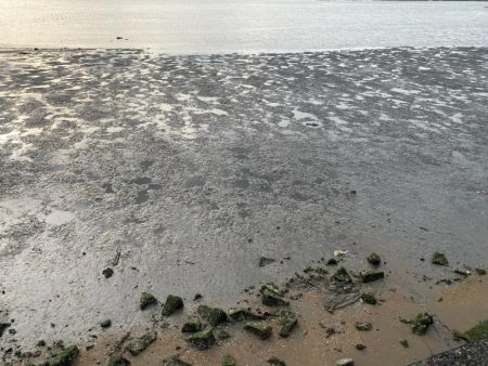 季節の変わり目激渋チニング!