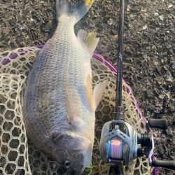 夕まずめチニング!