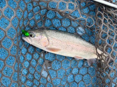 大雨フィッシング