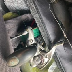 朝マズメのカマス釣りで5匹GET