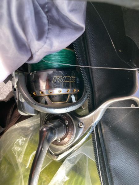 朝マズメのカマス釣りで4匹GET