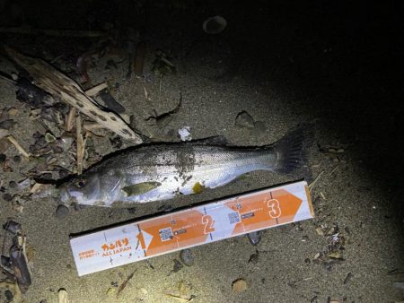 まだちょっと渋いのかな？