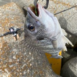 ストレートフック活躍