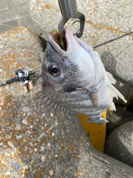 ストレートフック活躍