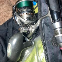 朝マズメのカマス釣りで8匹GET