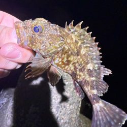 寒い！寒すぎる！