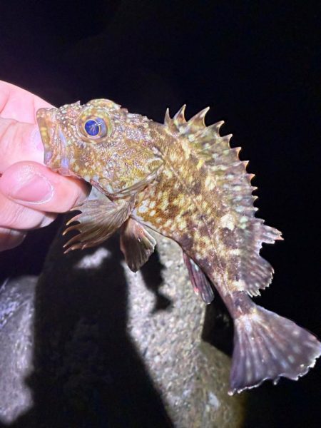 寒い！寒すぎる！