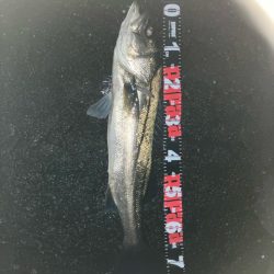 薄霧立ち込める新月周りのヒルつきアフター