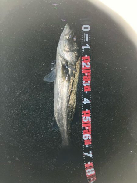 薄霧立ち込める新月周りのヒルつきアフター