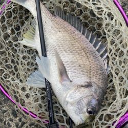 ぽかぽか快適チニング！