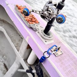 ショウサイフグ/カットウ釣り