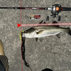 はじめてちゃんとバチ抜けパターンやれた！